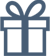 Icon gift min